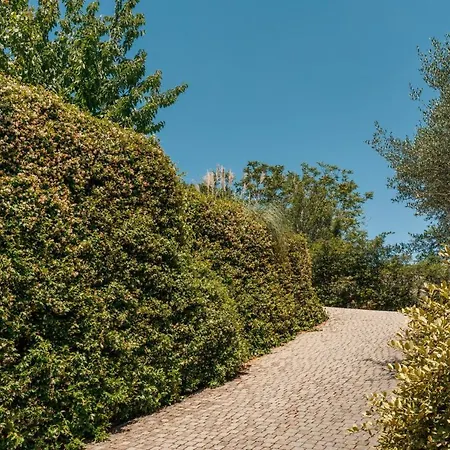 Domus Quiritum * Rome