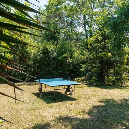 Domus Quiritum * Řím