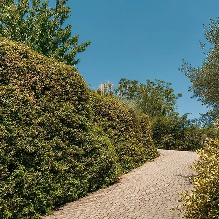 Domus Quiritum * Rome